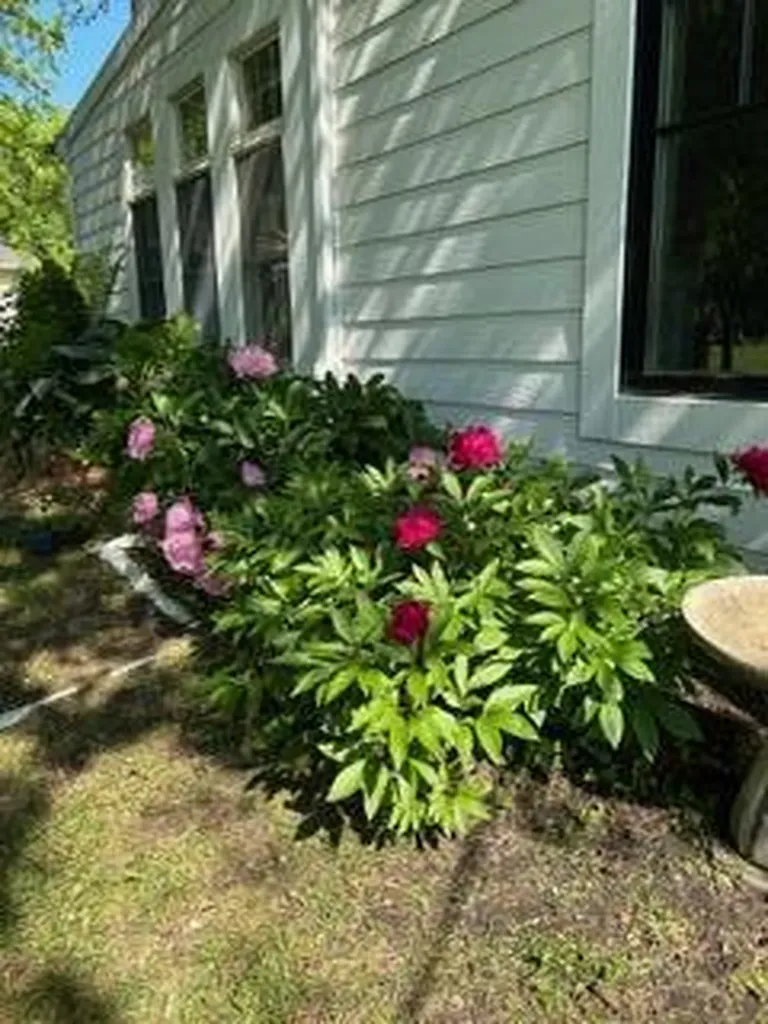 48 S Sashabaw Road Brandon Charter Township MI 48462