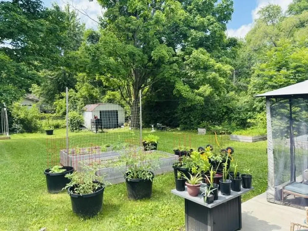 2906 Marshall Street Ann Arbor City MI 48108