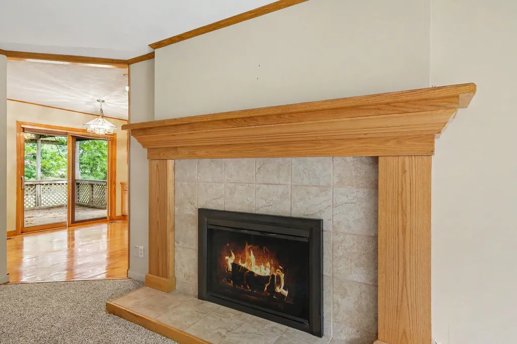 10691 Roepke Road Chelsea City MI 48118