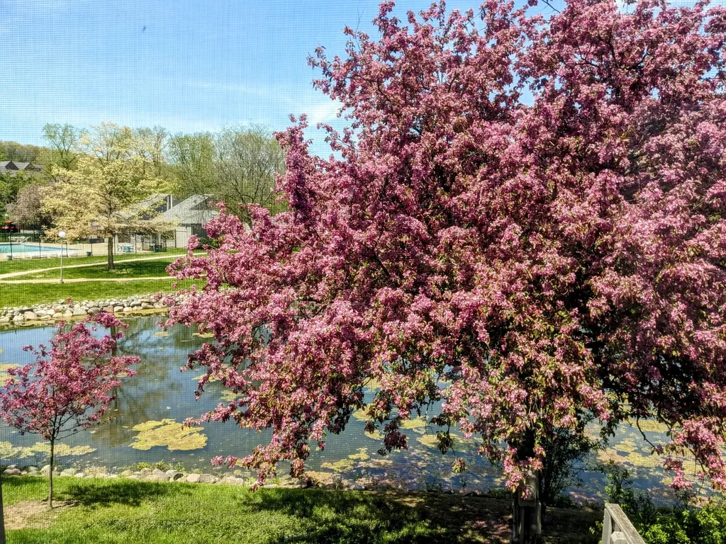 620 Peninsula Court Ann Arbor City MI 48105