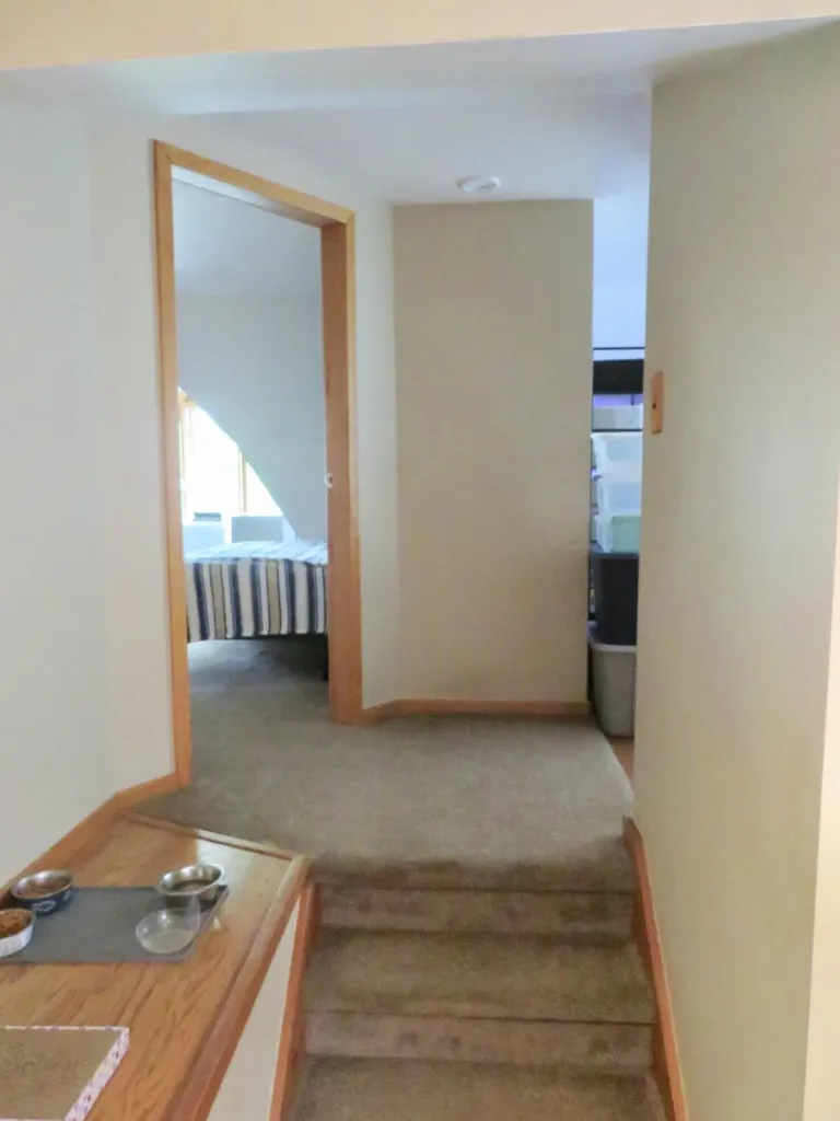 12004 Elmdale Drive Freedom Township MI 48158