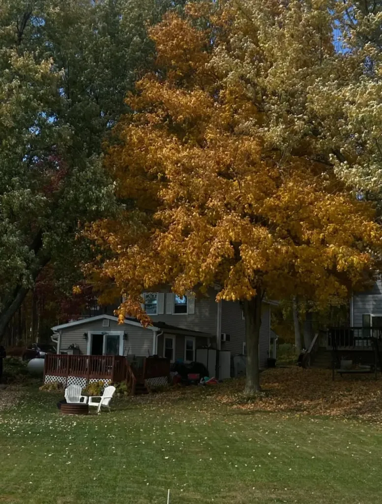 9621 Lakeview Drive Somerset Township MI 49249