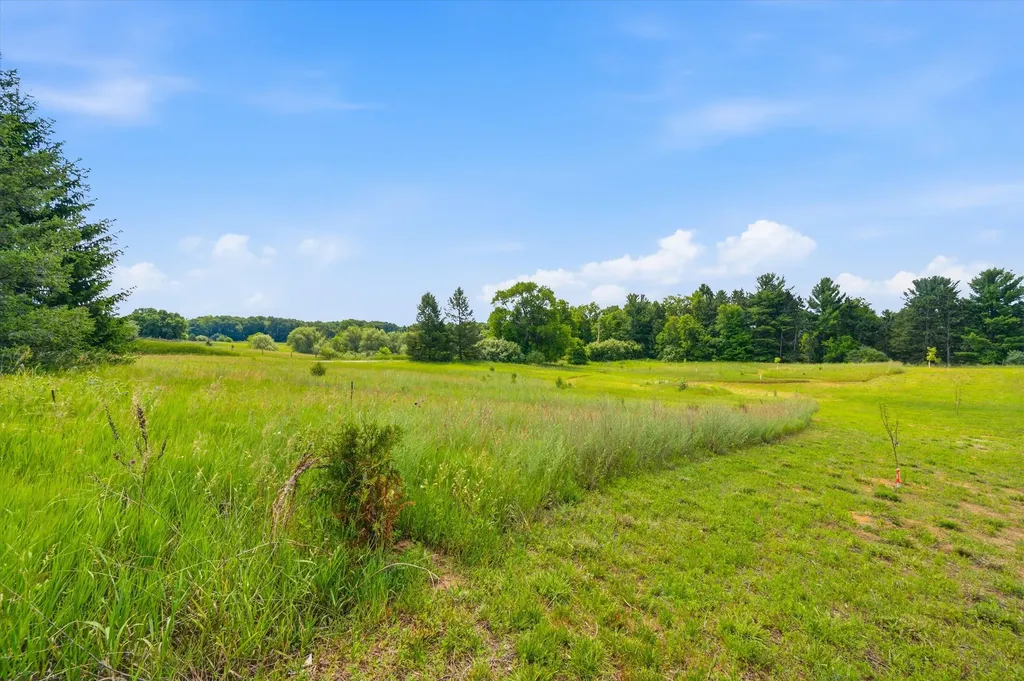 10985 Phal Road Grass Lake Charter Township MI 49240
