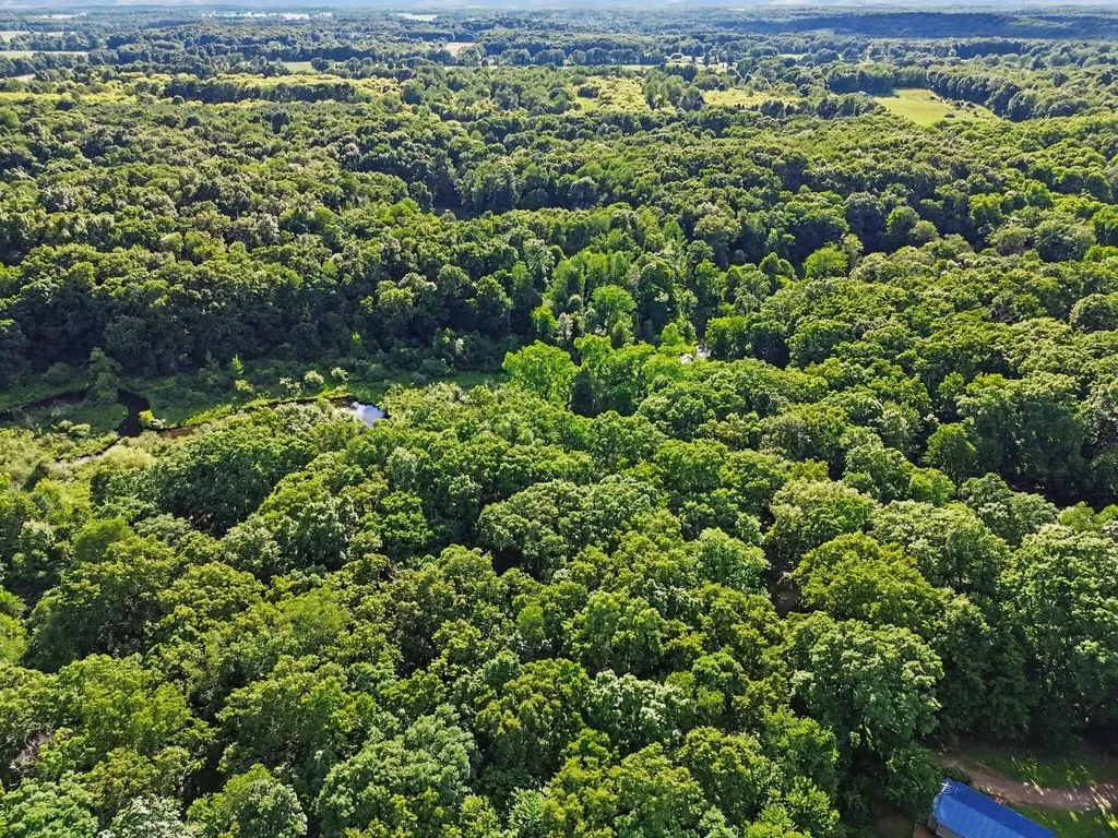 4200 Albion Road Concord Township MI 49237