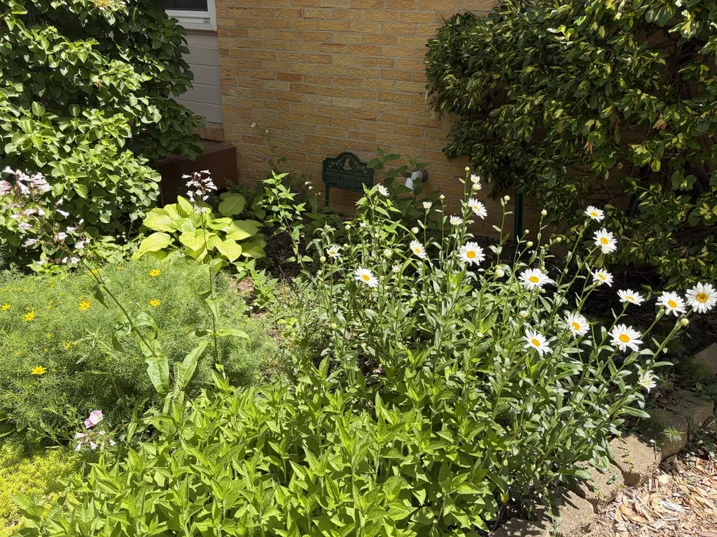 2104 S Circle Drive Ann Arbor City MI 48103