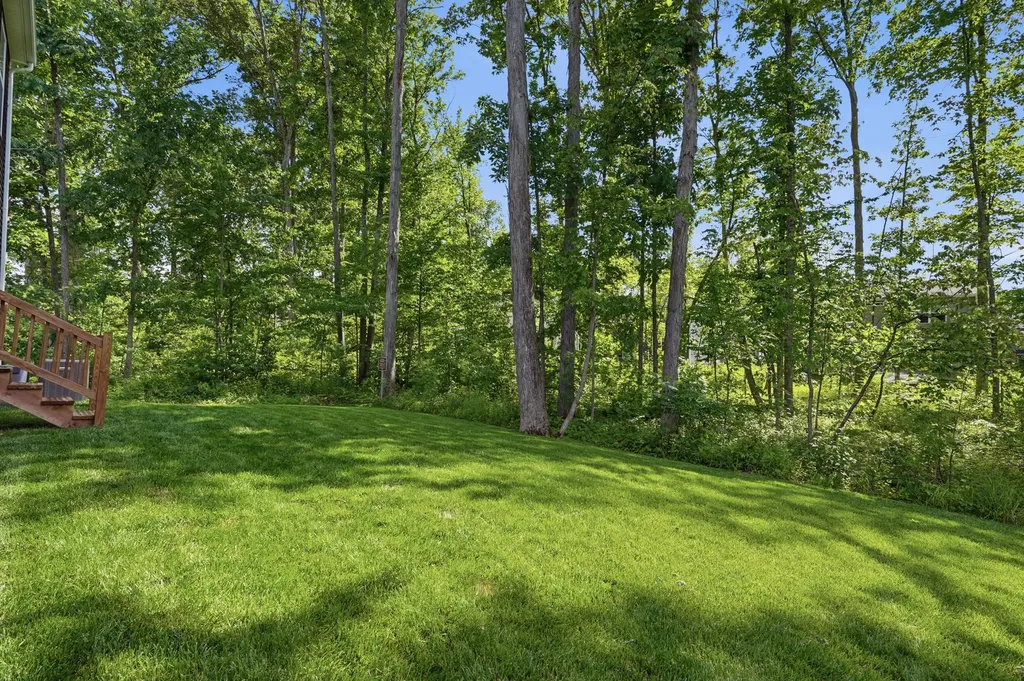 9086 Willow Way Lima Township MI 48130