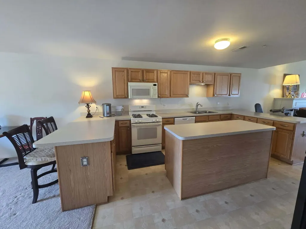 1141 Freesia Court Ann Arbor City MI 48105