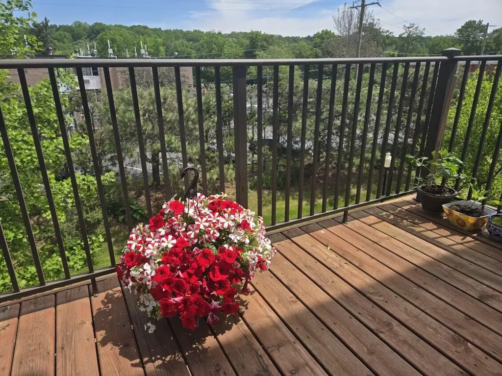 1141 Freesia Court Ann Arbor City MI 48105