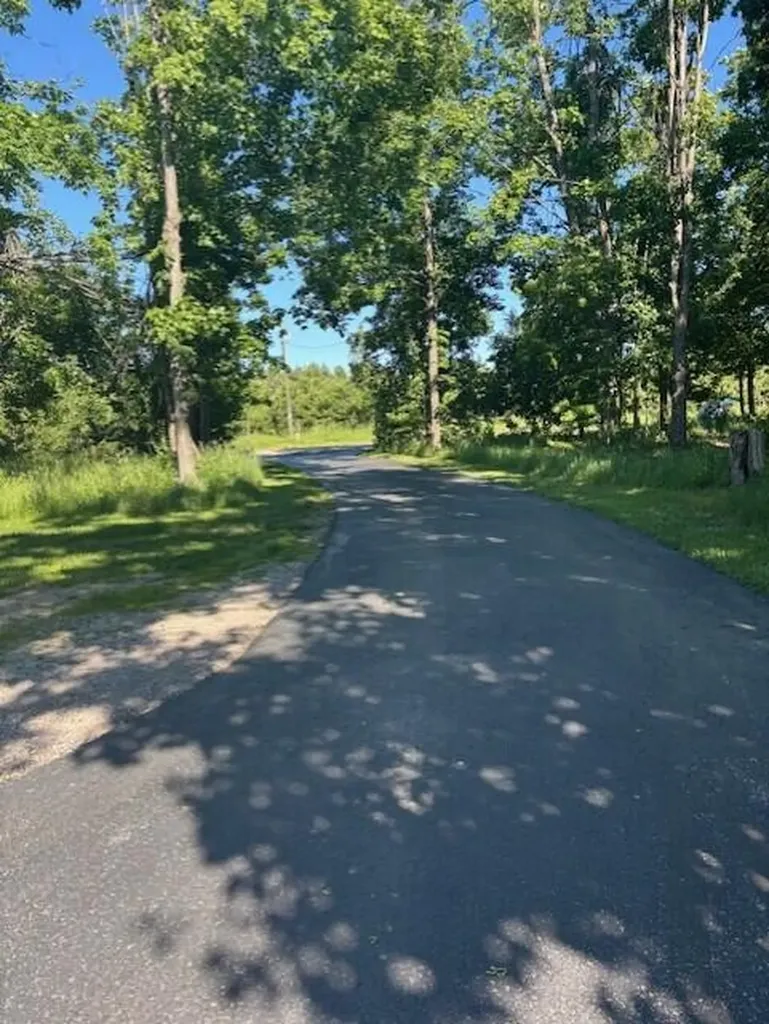 1976 Estelle Road Hayes Township MI 49735