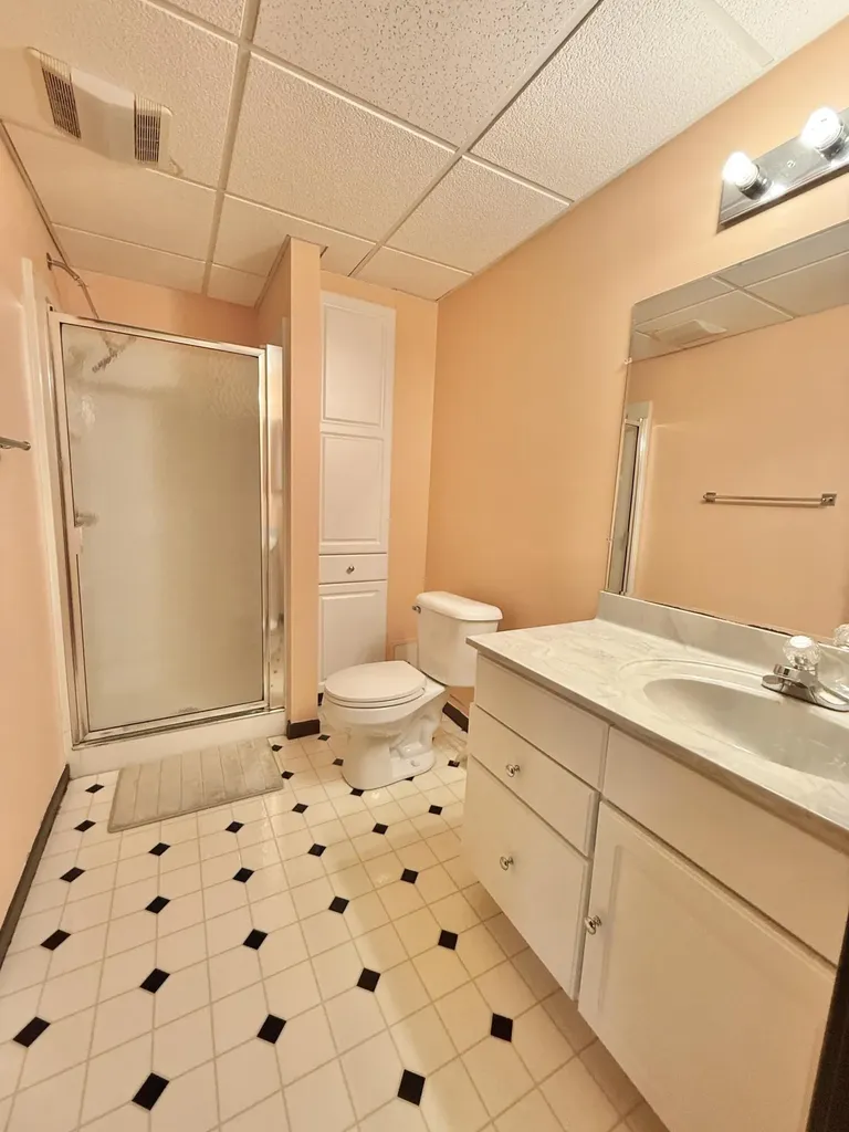 3533 Meadow Grove Trail Pittsfield Charter Township MI 48108