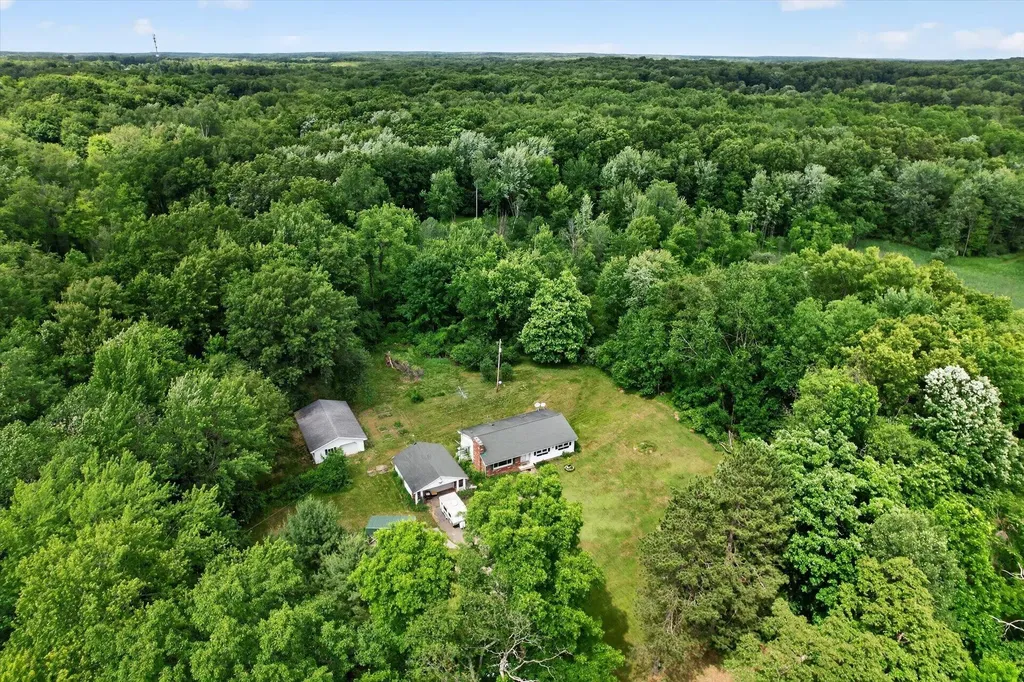 7836 Cuff Road Sandstone Township MI 49269