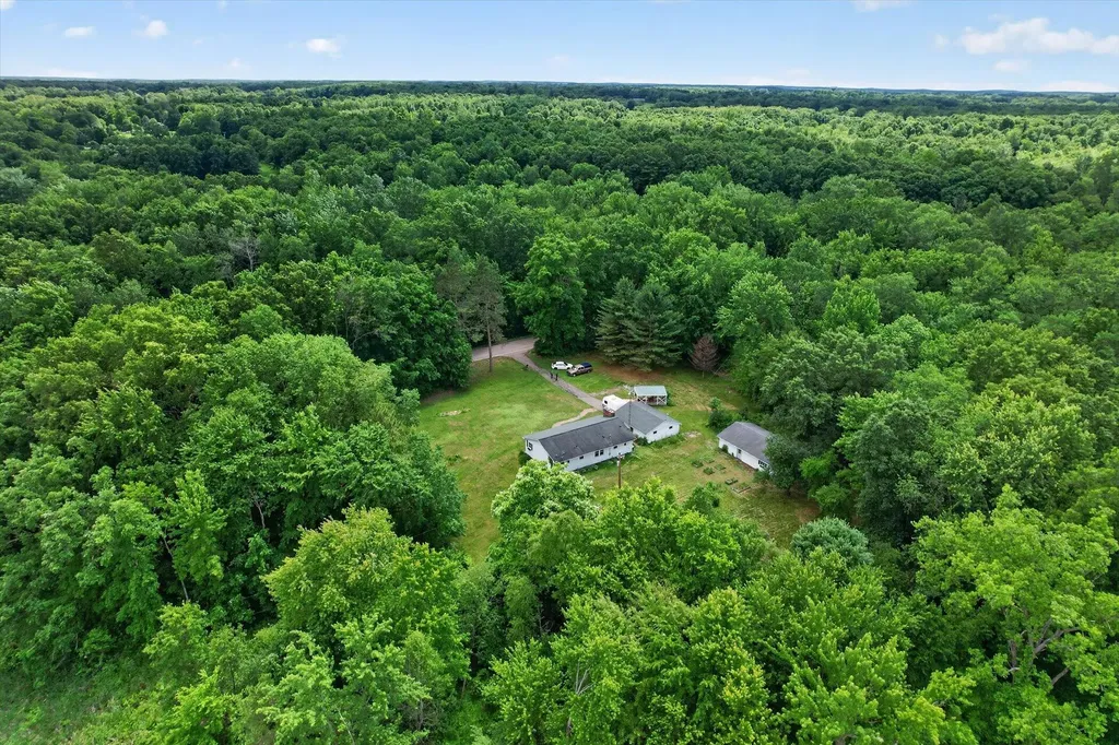 7836 Cuff Road Sandstone Township MI 49269