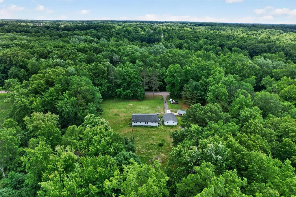 7836 Cuff Road Sandstone Township MI 49269