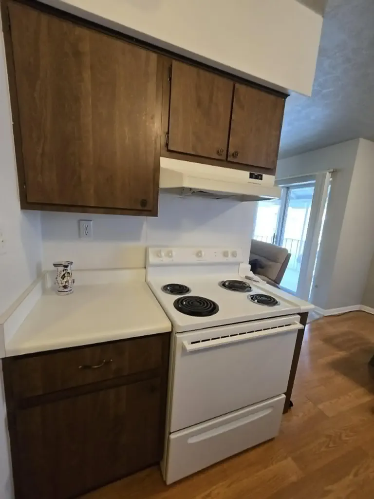 33027 Fargo Street Livonia City MI 48152