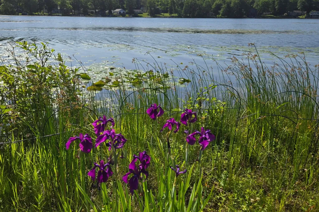 11159 W Perch Lake Drive W Somerset Township MI 49233