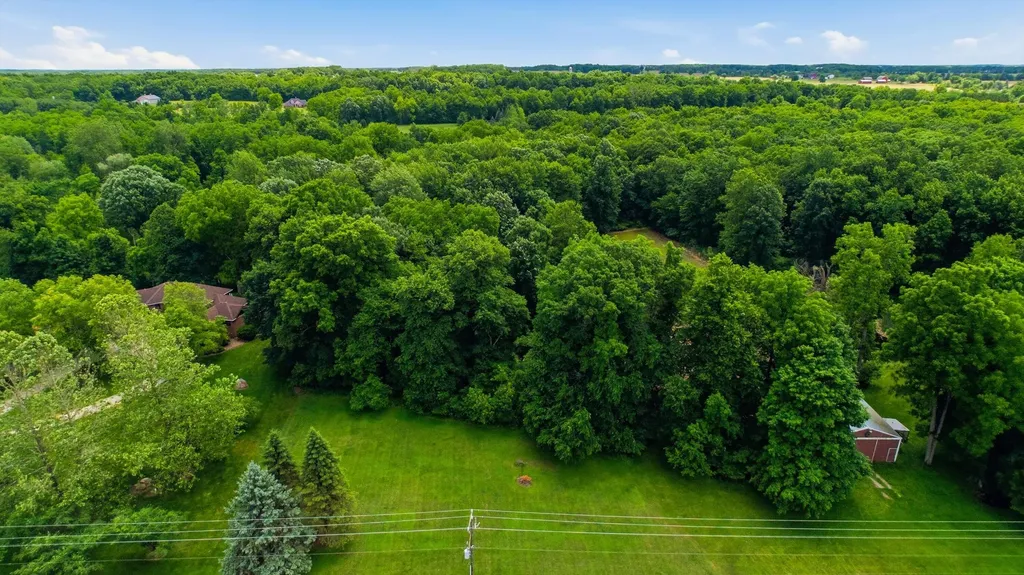 4521 Saline Waterworks Road Lodi Township MI 48176