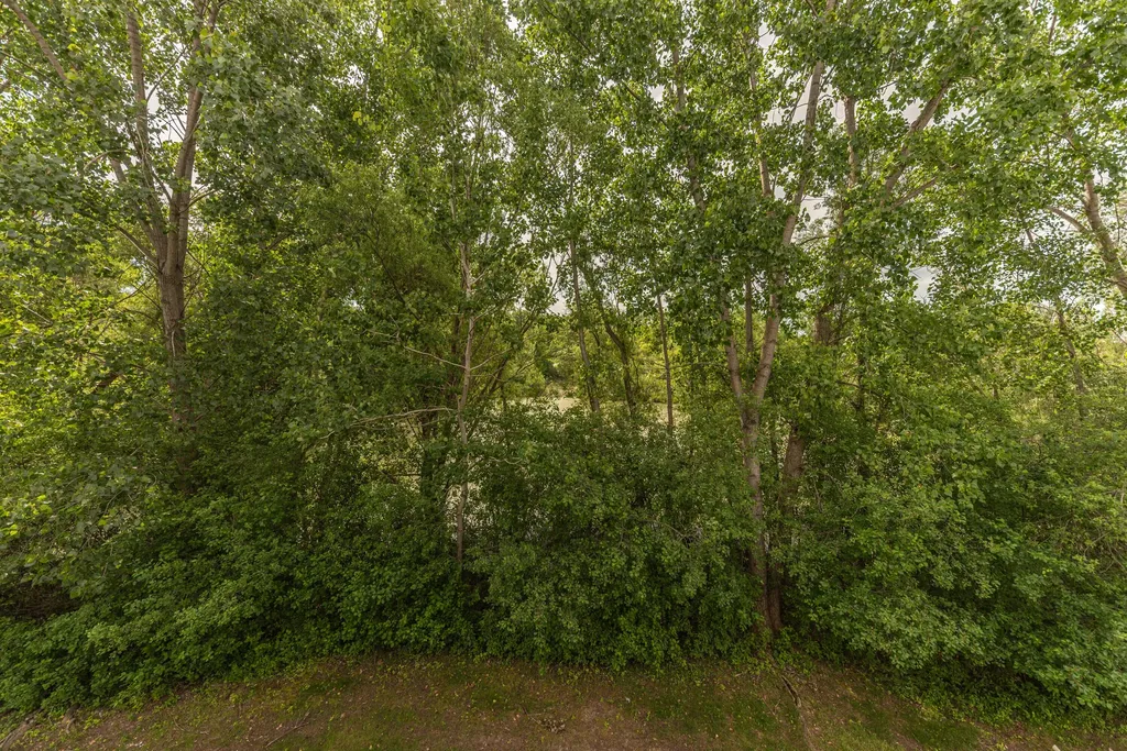 4663 Rosewood Lane West Bloomfield Charter Township MI 48323