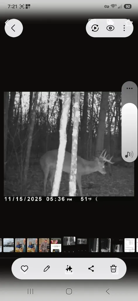15303 Seymour Road Waterloo Township MI 49240