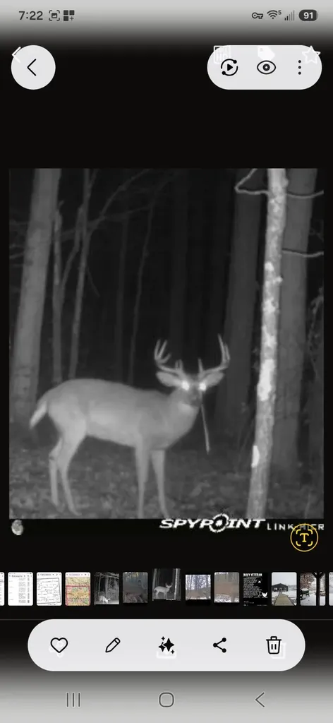 15303 Seymour Road Waterloo Township MI 49240