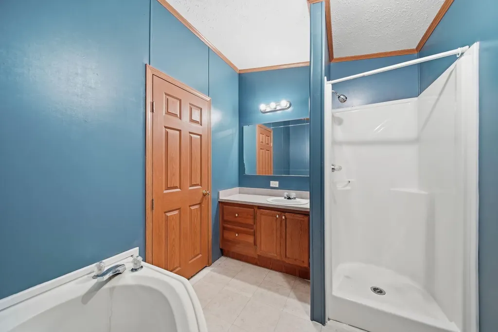 290 Medina River Court Madison Charter Township MI 49221