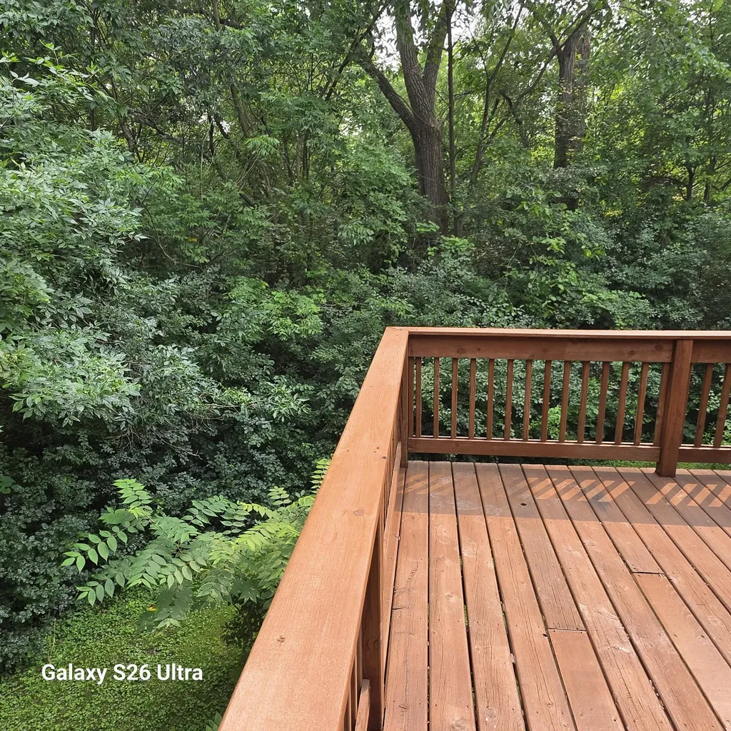 2145 Pauline Court Ann Arbor City MI 48103
