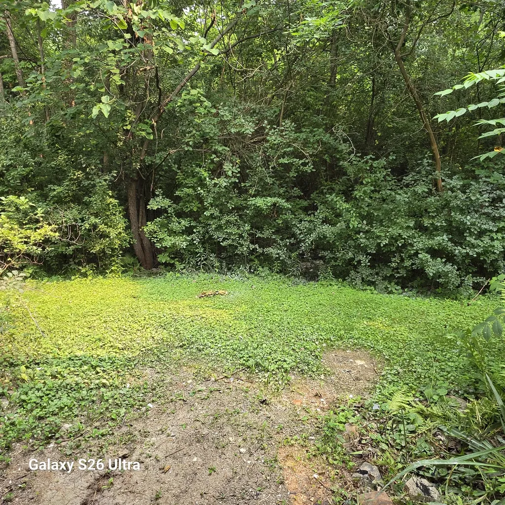 2145 Pauline Court Ann Arbor City MI 48103