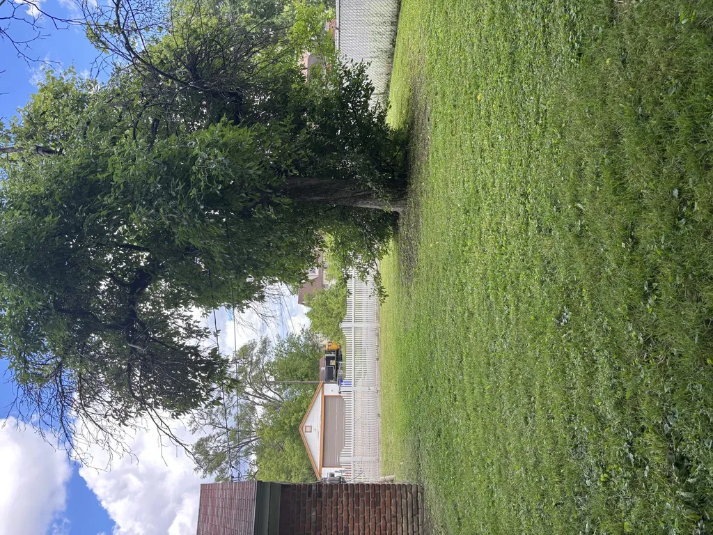 8096 Central Street Detroit City MI 48204