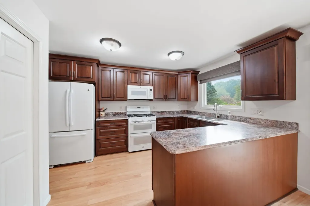 4234 Sauk Trail Raisin Township MI 49221