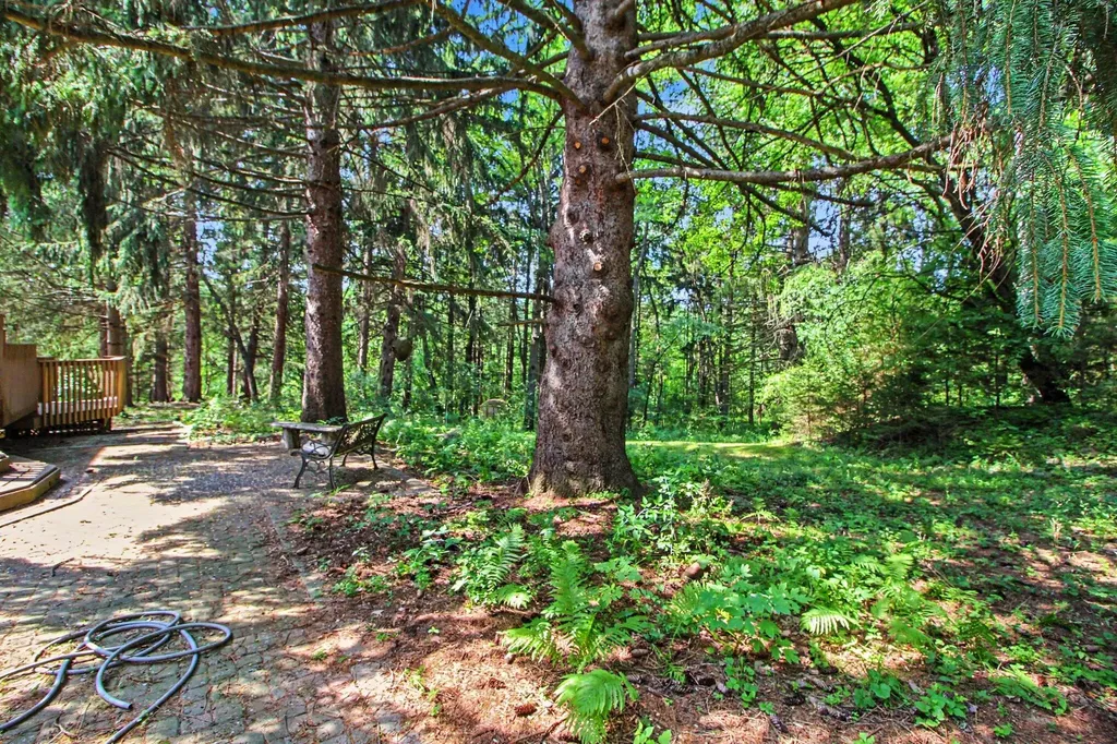 3654 E Pineview Drive Scio Township MI 48130