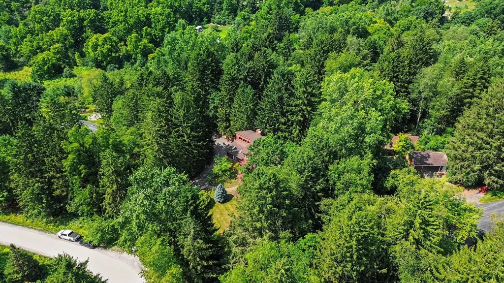 3654 E Pineview Drive Scio Township MI 48130