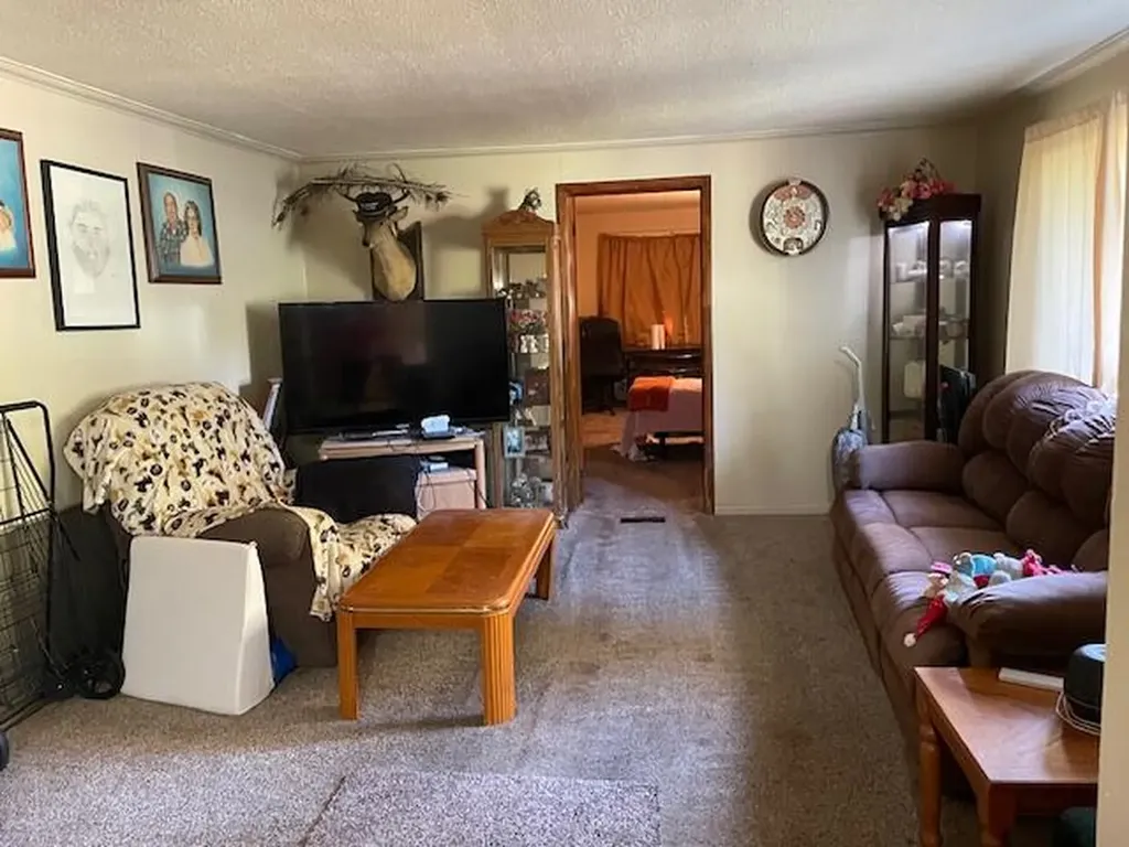 10572 Plank Road London Township MI 48160