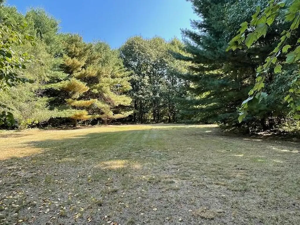 10572 Plank Road London Township MI 48160