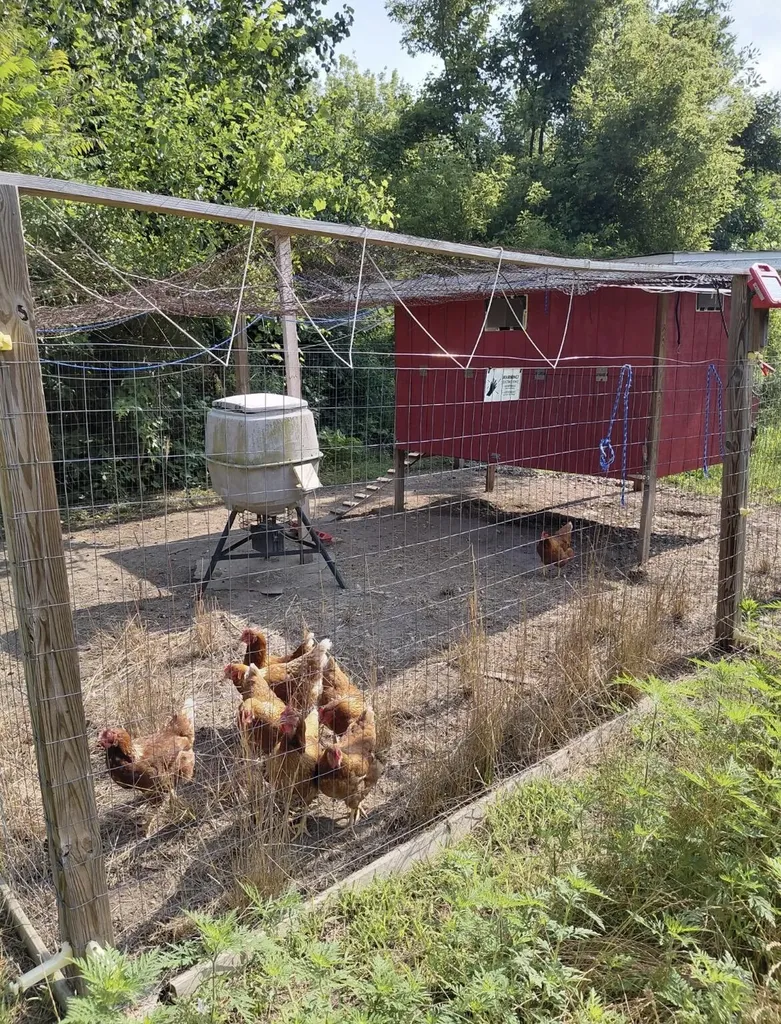 331 E Fenn Road Ovid Township MI 49036