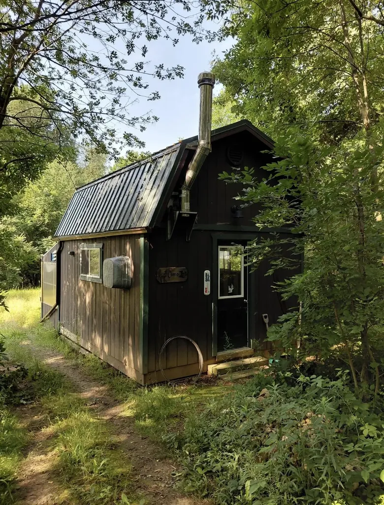 331 E Fenn Road Ovid Township MI 49036