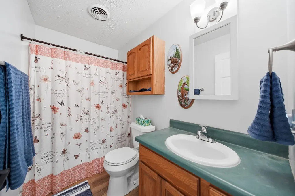 225 W Birch Street Litchfield City MI 49252