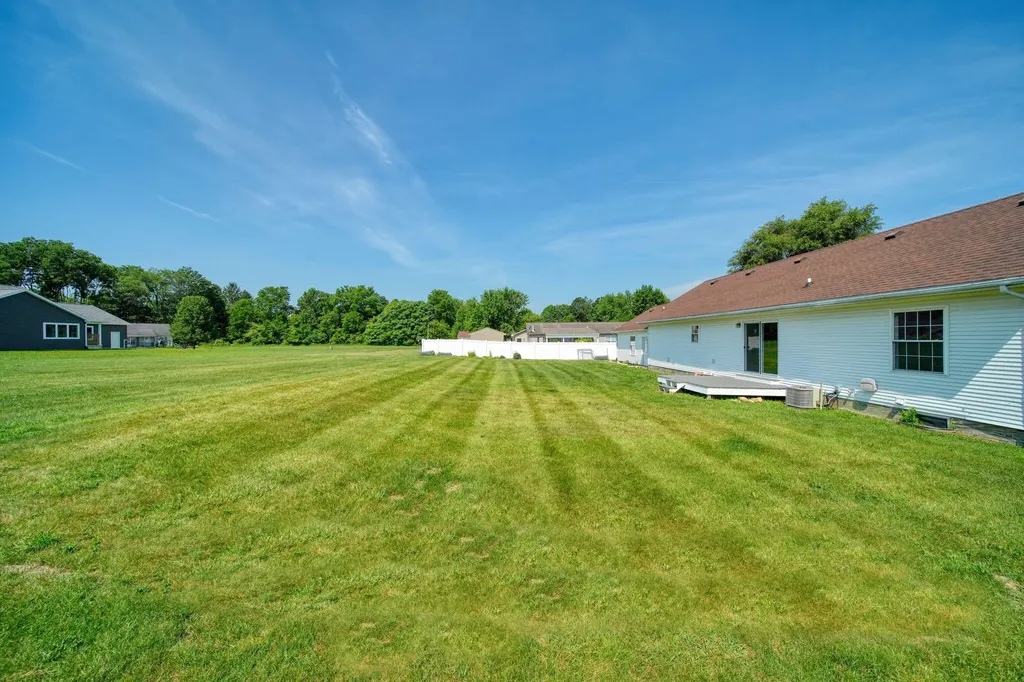 225 W Birch Street Litchfield City MI 49252