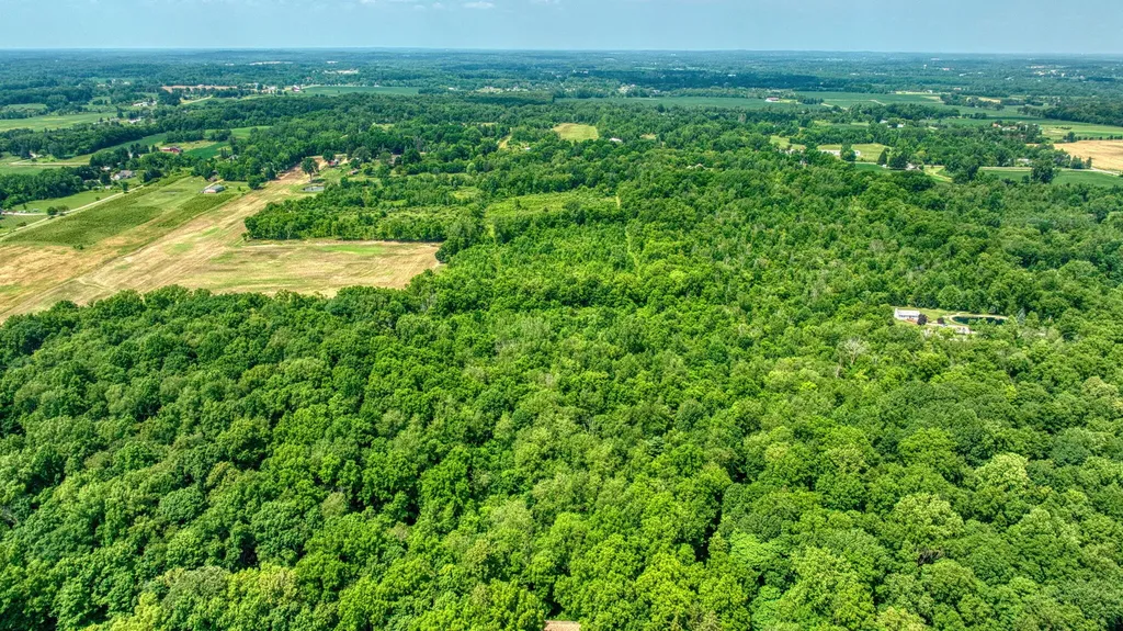 1533 E Munger Road Tecumseh Township MI 49286