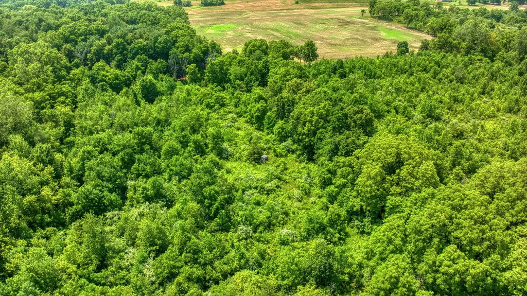 1533 E Munger Road Tecumseh Township MI 49286