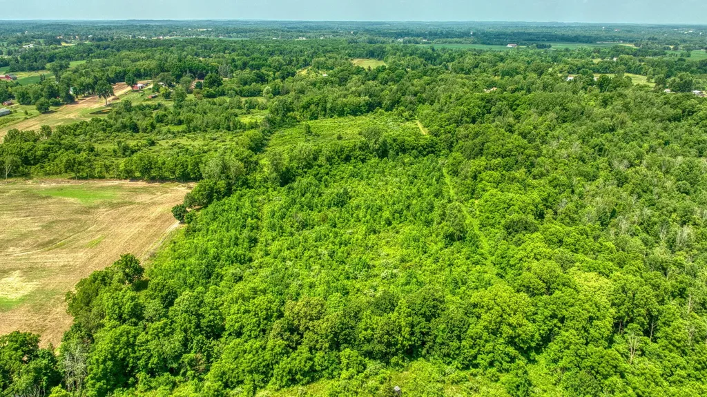 1533 E Munger Road Tecumseh Township MI 49286