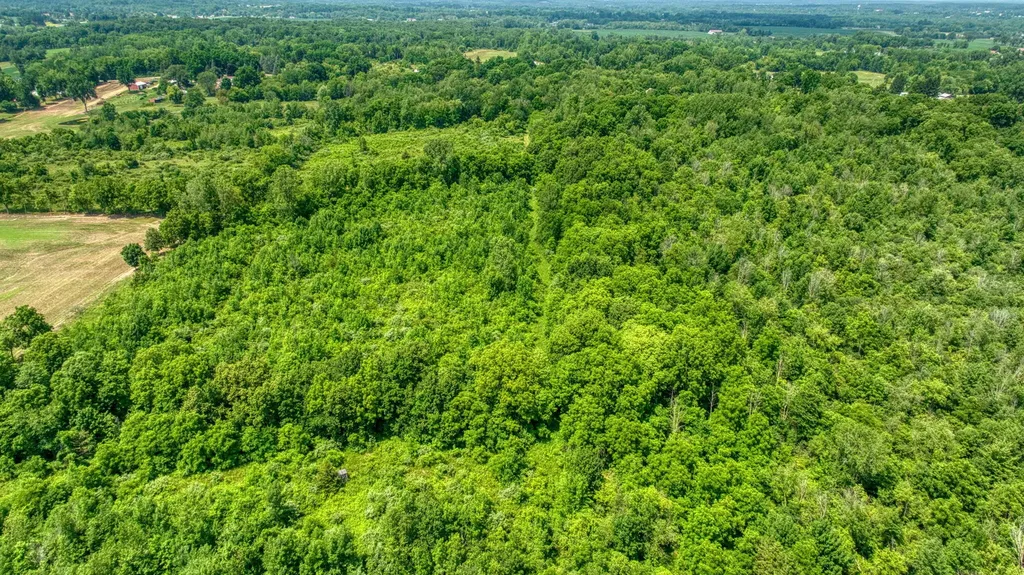1533 E Munger Road Tecumseh Township MI 49286