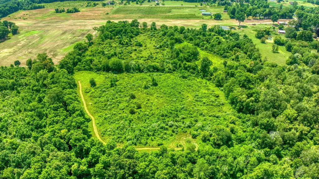 1533 E Munger Road Tecumseh Township MI 49286