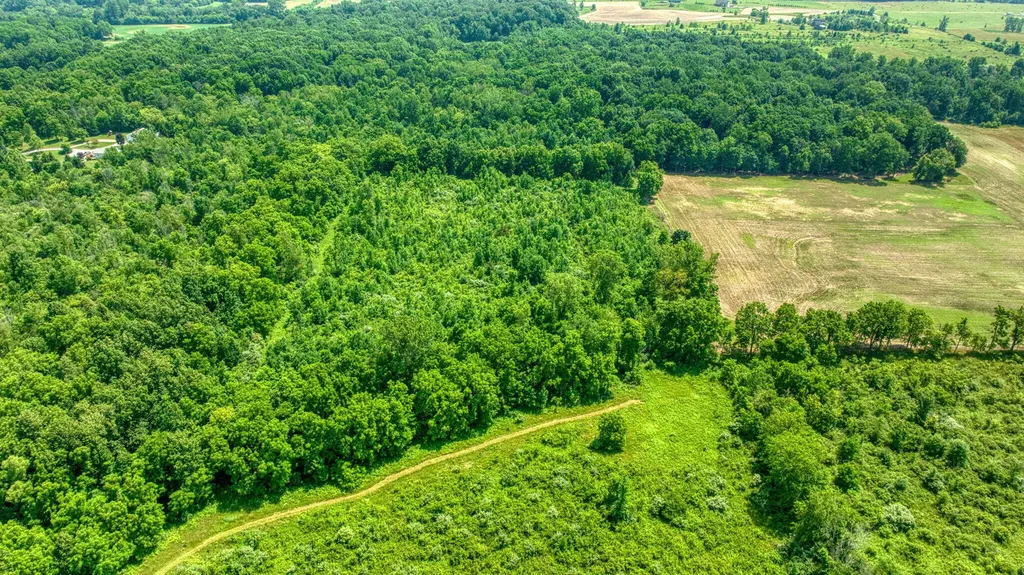 1533 E Munger Road Tecumseh Township MI 49286