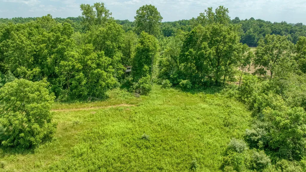 1533 E Munger Road Tecumseh Township MI 49286