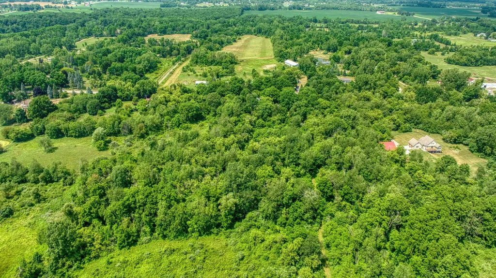 1533 E Munger Road Tecumseh Township MI 49286