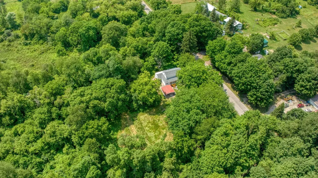 1533 E Munger Road Tecumseh Township MI 49286