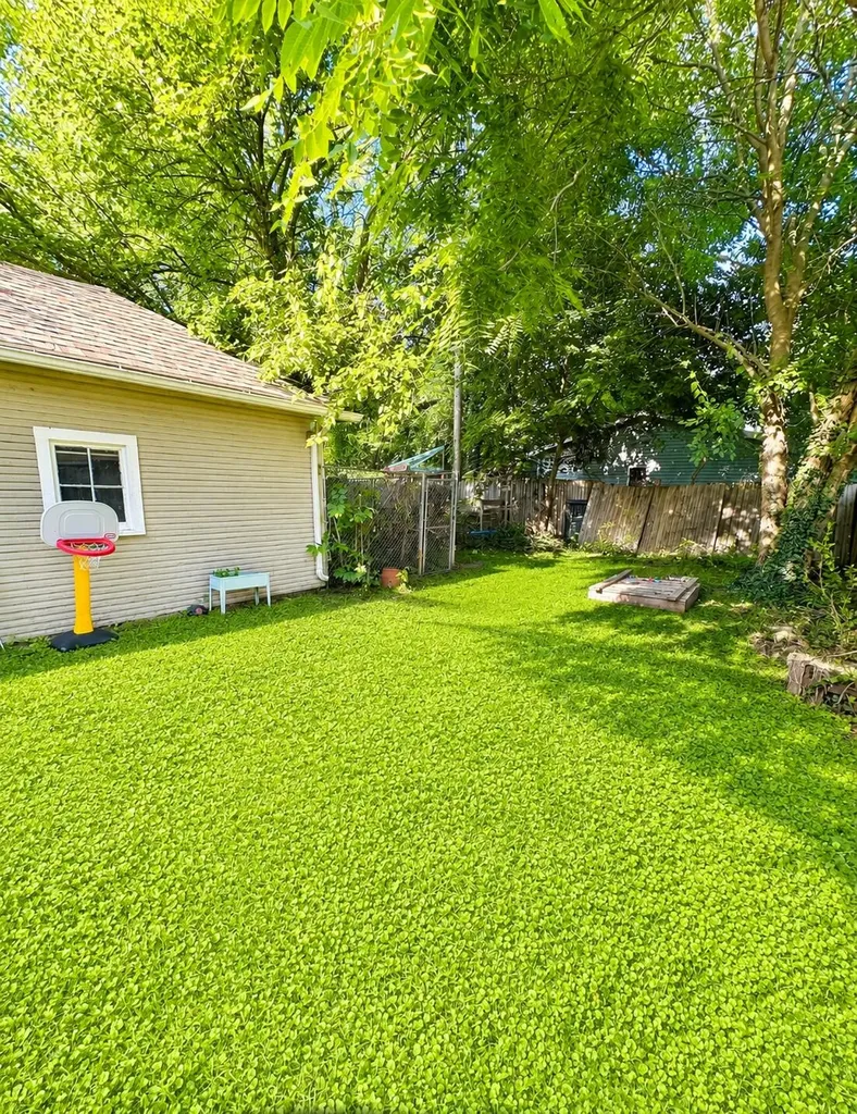 411 N Pleasant Street Jackson City MI 49202