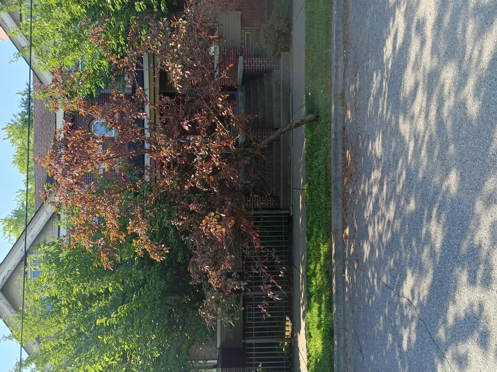 7252 Saint Paul Street Detroit City MI 48214