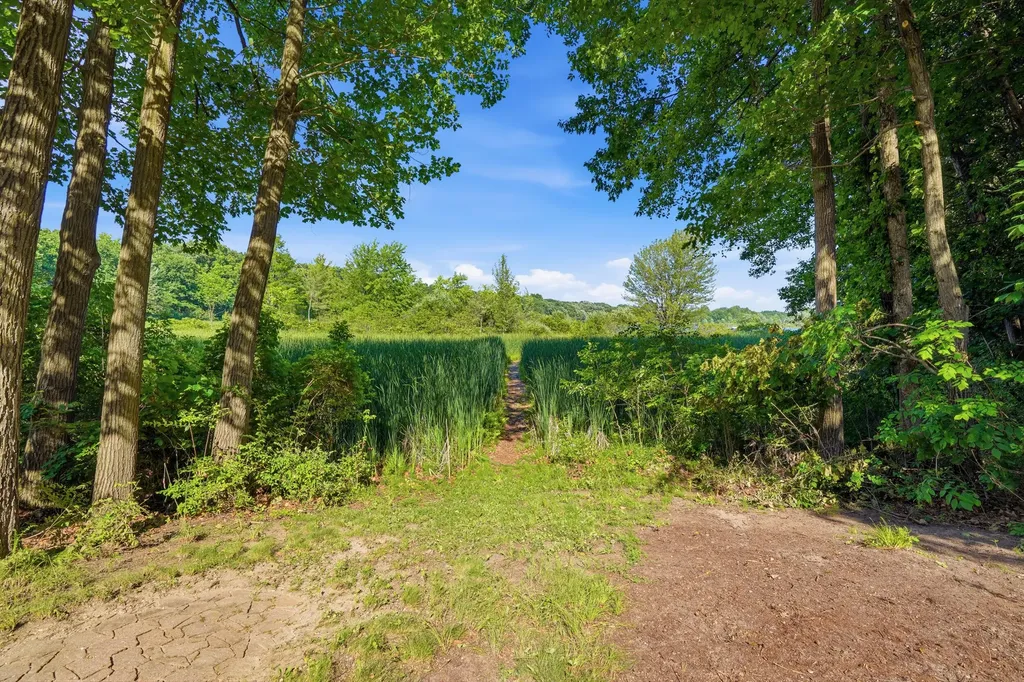 7544 Lake Hollow Court Webster Township MI 48130