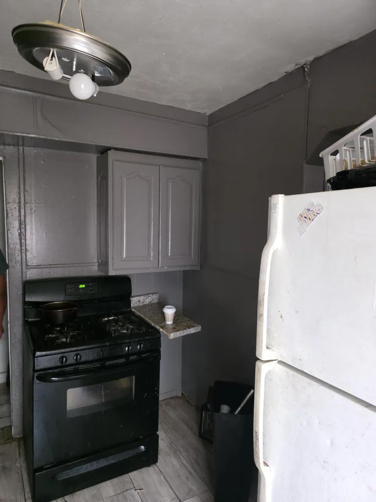 19133 Omira Street Detroit City MI 48203