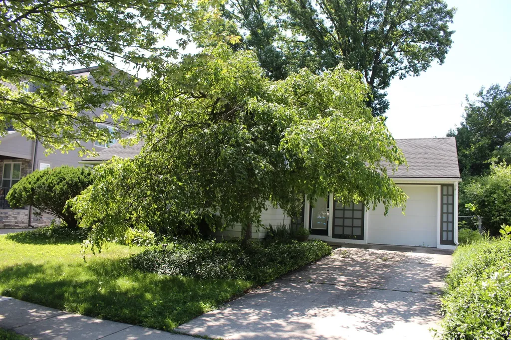 1810 Holland Street Birmingham City MI 48009